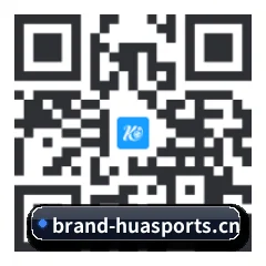 系统版 iOS 二维码